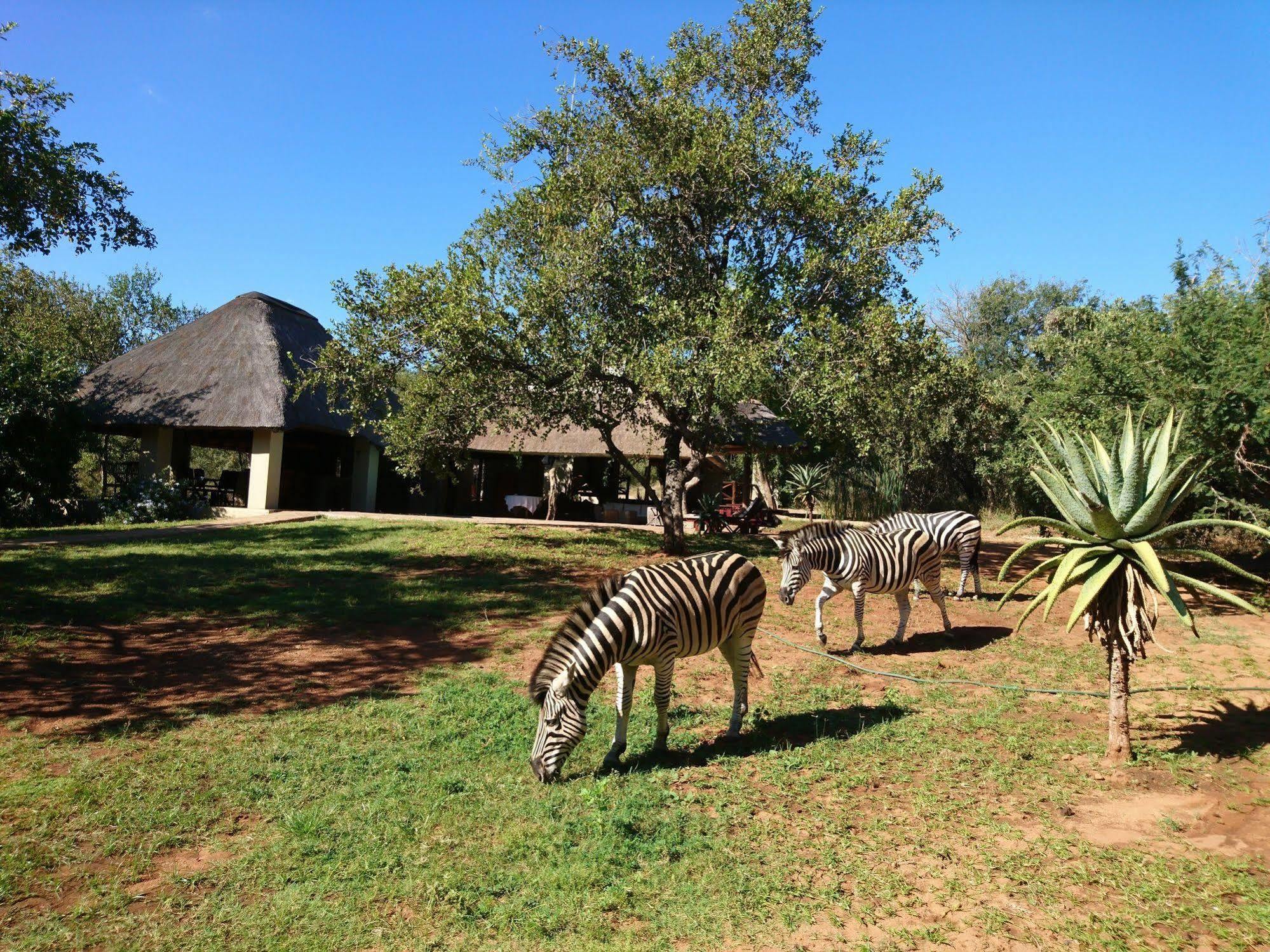 Royal Kruger Lodge Marloth Park Eksteriør bilde